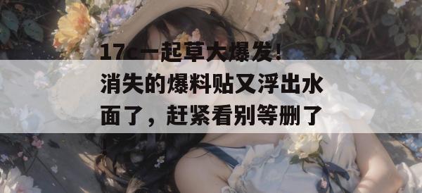 17c 第8页